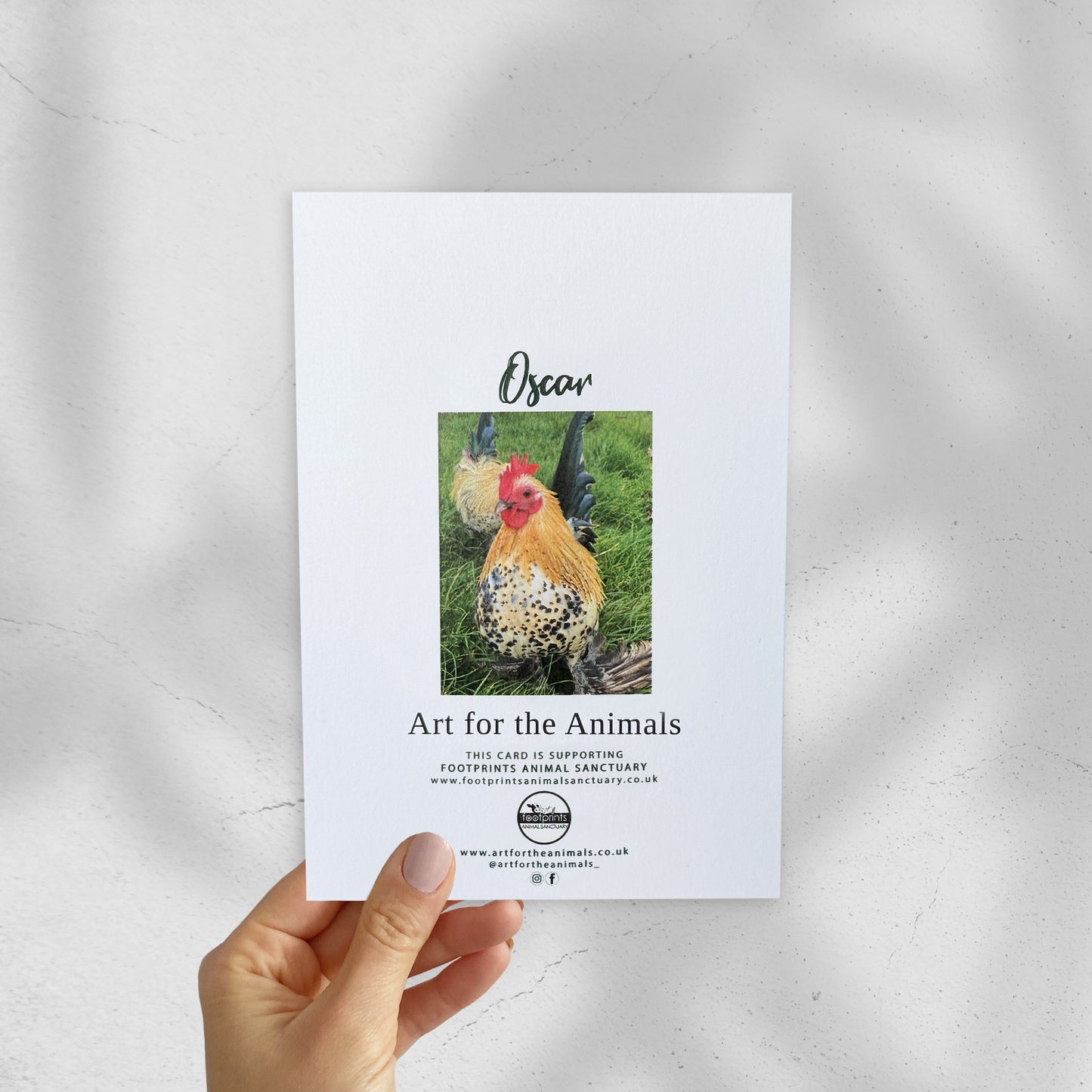 Card - Happy Clucking Birthday