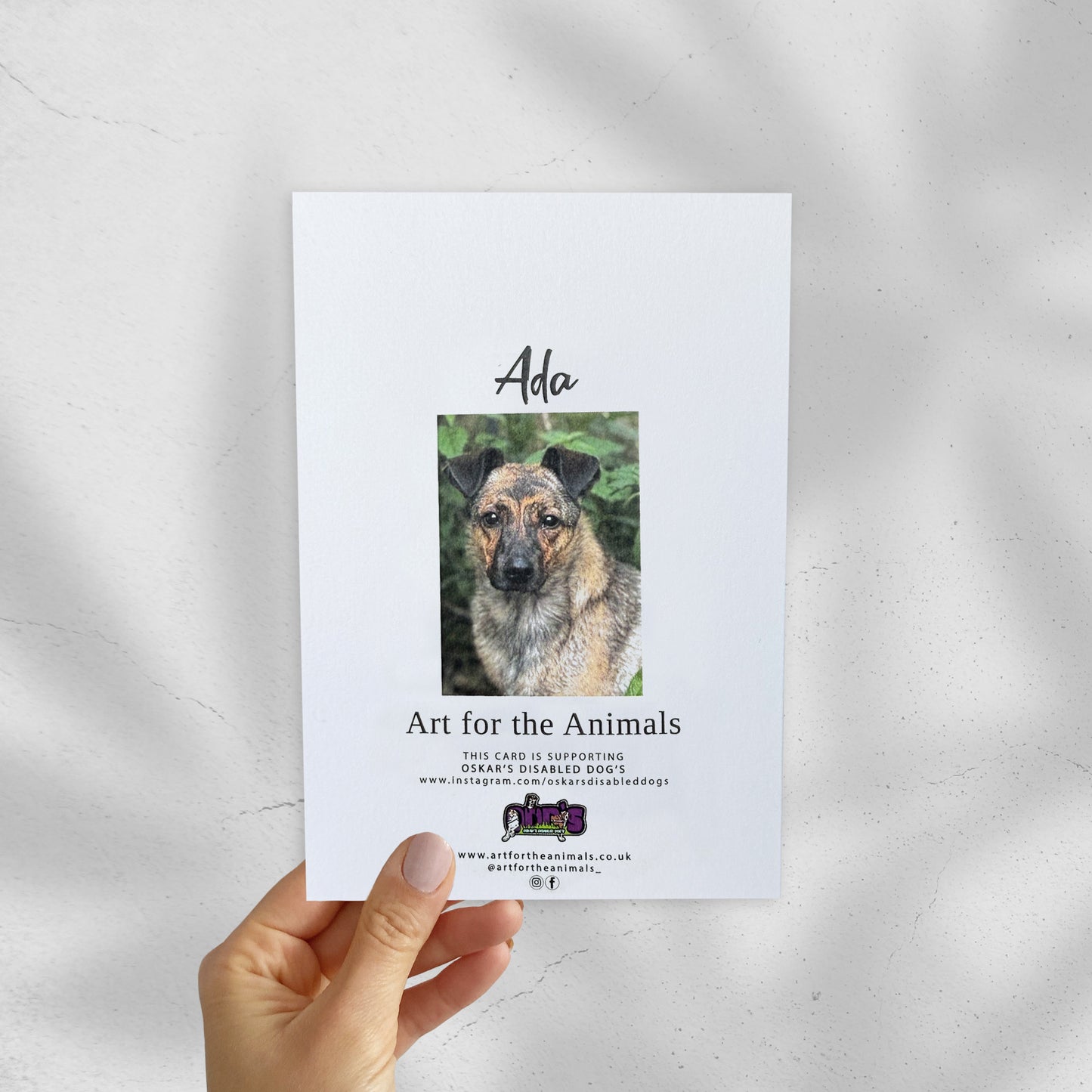 Card - Have a Pawsome Birthday