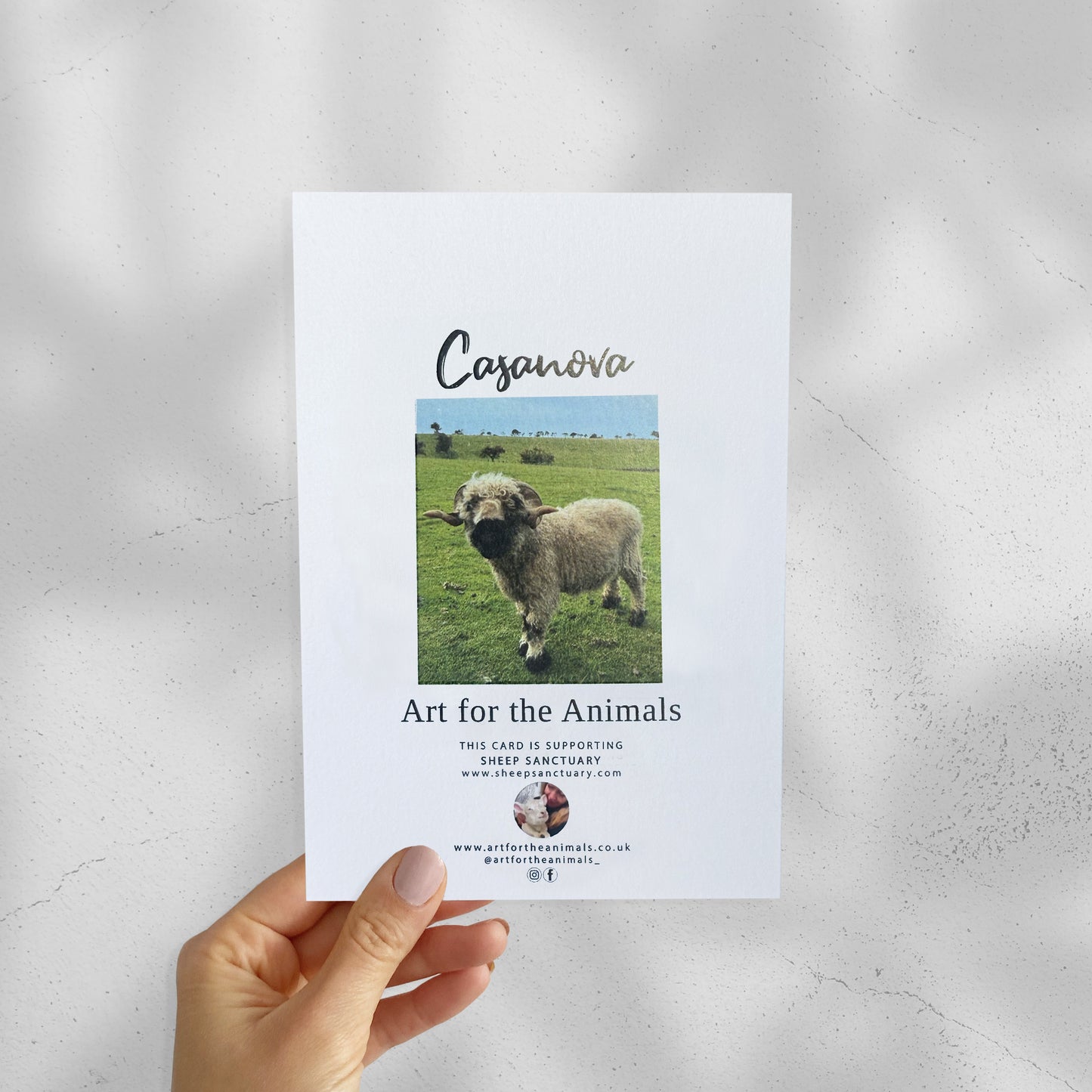 Card - Happy BAA-thday