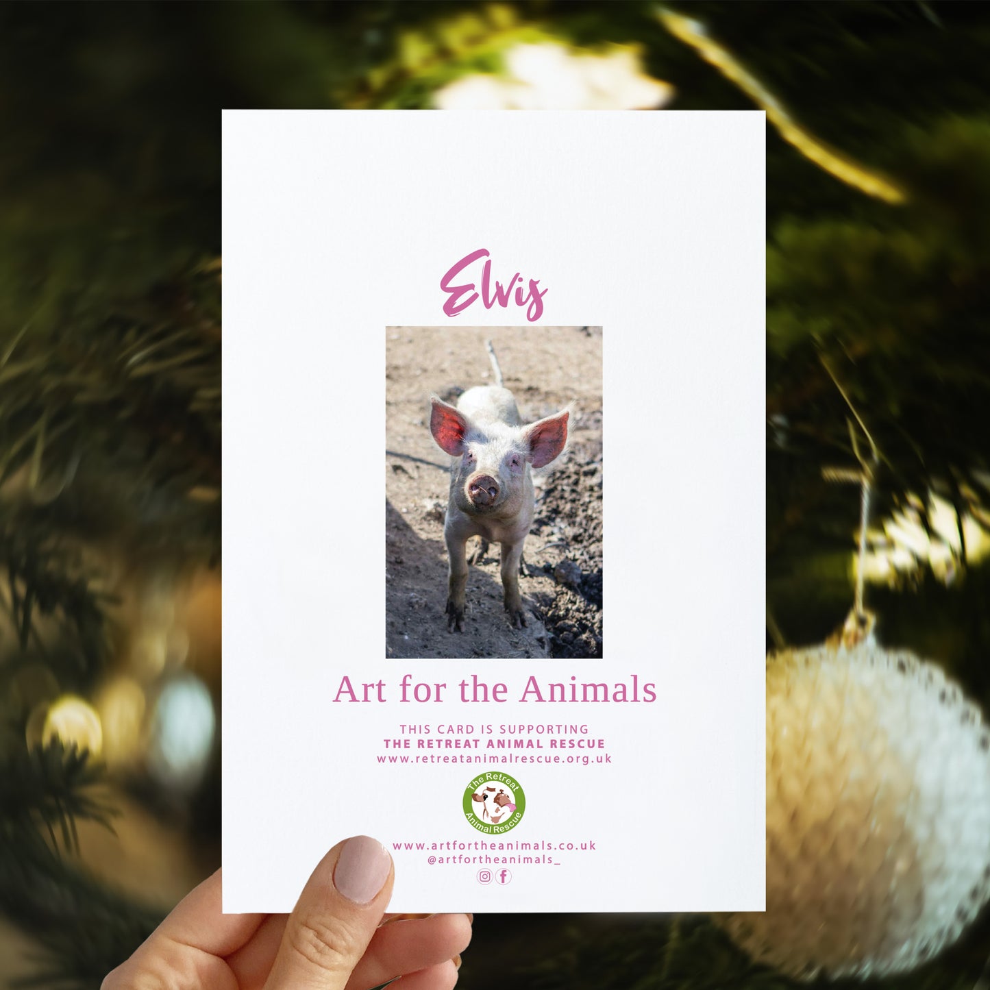 Christmas card - Merry Pigmas