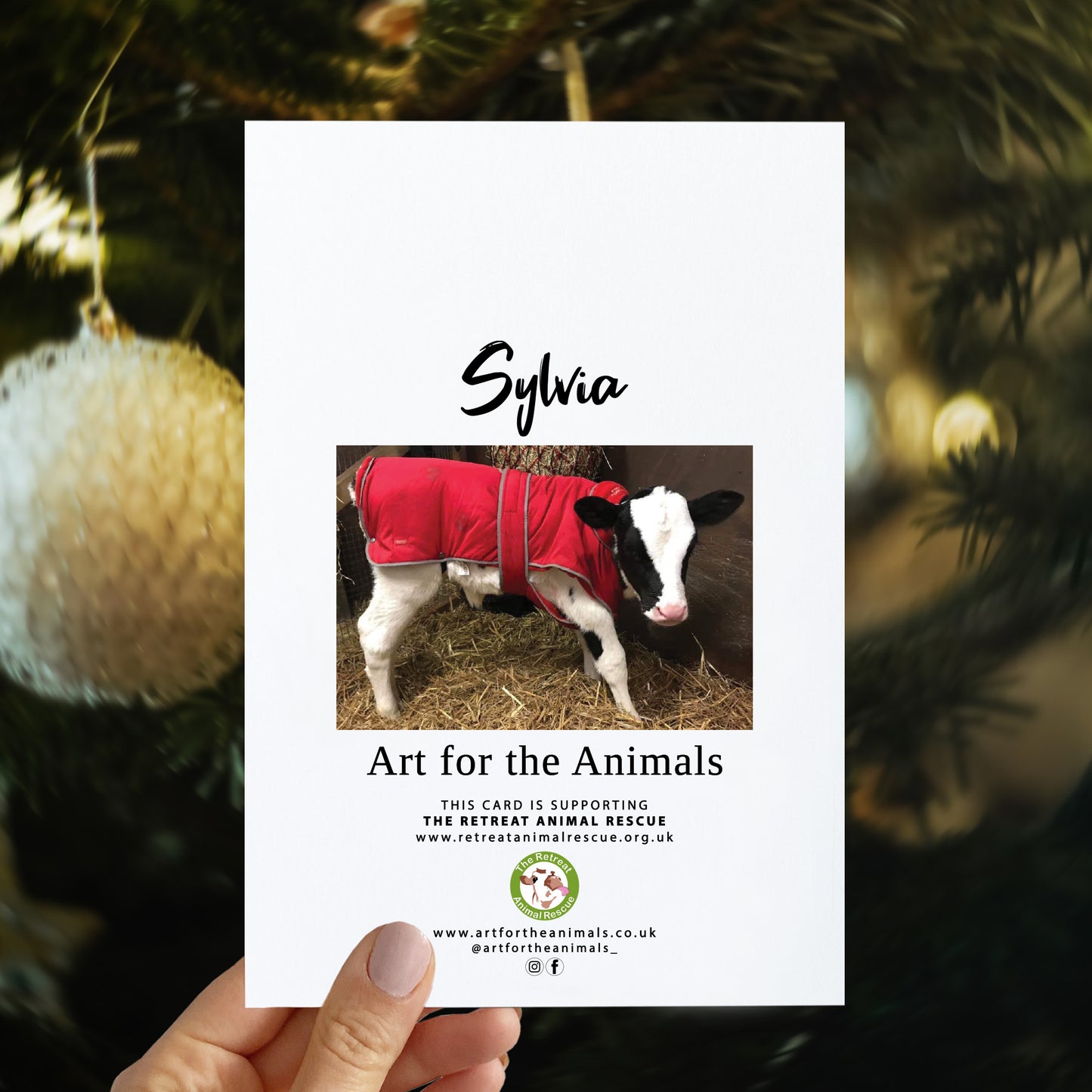 Christmas card -Mooey Christmas