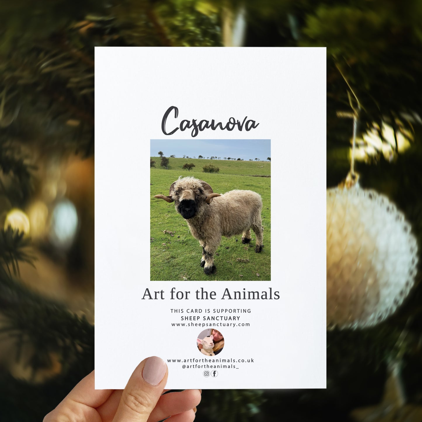 Christmas card - Season's Bleatings